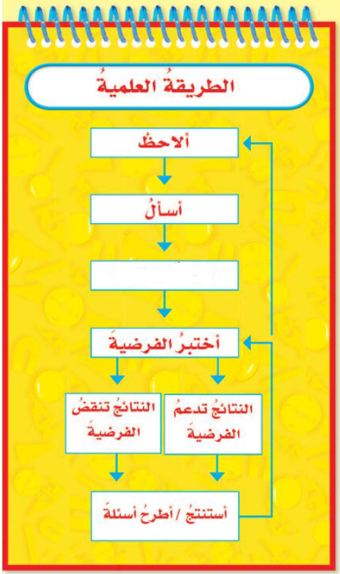 تأمل المصور وأجب عن السؤال التالية
الجزء المفقود في المربع