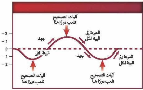 في الشكل ، ما خاصية الحياة التي تشكل عنوانًا مناسبًا لهذ المنحنى؟